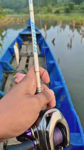 #softfrog #shimanofishing #freshwaterfishing #castingfishing🎣 #Pmancing 