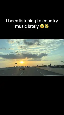 The beauty of country lol #fyp #trending #viralvideo #contentcreator #comedia #fatjuicyandwet #kittycat #country #sunsets #bestson 