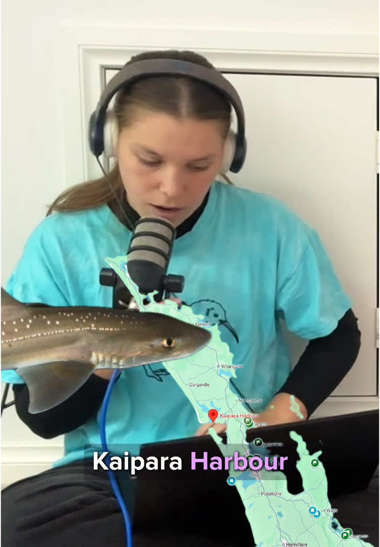 clickclickclick #communityradio #Science #marinebiology #shark @Peta Marine 