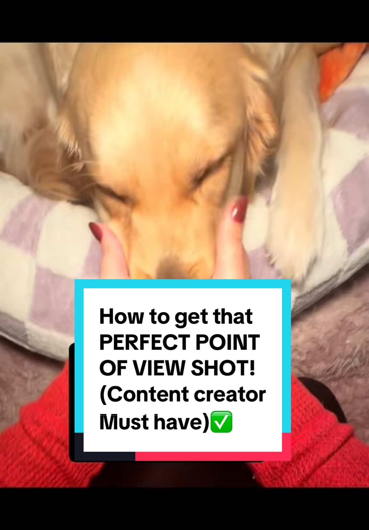 STEP UP YOUR CONTENT MAKING GAME QUICK! 🤳🏻 🔥 ✅THIS POPULAR PHONE NECK MOUNTALLOWS YOU TO BE HANDS FREE WHILE FILMING! 🙌🏻  ✅GRAB ONE TODAY! #phoneneckmount #phonemountholder #handsfreecontent #handsfree #magneticneckmount #goldenretriever #phonemusthaves #contentcreatormusthaves #phoneaccessory 	#TikTokMadeMeBuyIt #PhoneNeckMount #HandsFreeLife #TikTokShopMustHaves #contentcreatortools  #GadgetGoals