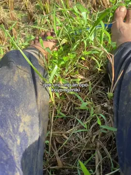 Keduman endut  #pari #sawah #desa #capcut 