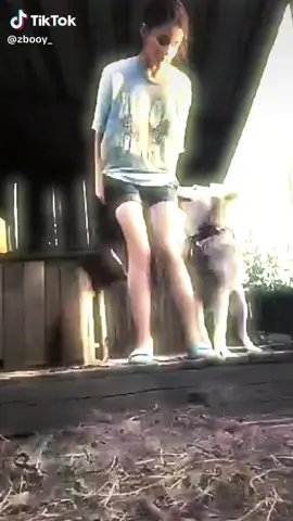 quem quiser eu tenho... #zoo #zoof #dog #fyyyy #fyyy #fyy #fy #viral #aoz #artofzoo #z00 #artofz00 #zoop #girldog #girlanddog 