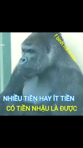 Nhiều tiền hay ít tiền có tiền nhậu là được rồi....! #cotiennhauladuoc #nhieutienhayittien #binhminhmc  #videohai  #videohaihuoc  #nhacchebinhminhmc  #videohaibinhminhmc  #yotubebinhminhmc  #haihuoc  #xuhướng2025  #xuhướng 