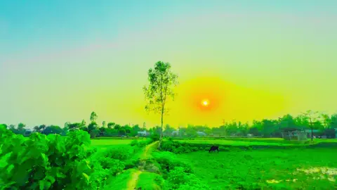 থেকে যাওয়ার ইচ্ছে থাকলে, হাজার বাধা পেরিয়ে থেকে যাওয়া যায়..!! ❤️‍🩹🥰#viral #TikTok #fypシ #for #Bangladesh #👌 @TikTok Bangladesh @TikTok @TikTok Philippines 