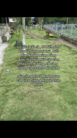 xinloi.. #btruc #yeuthatlong #xh #xuhuonggggggggggggggggg #xuhuongg 