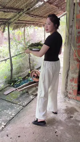 ăn bánh với em hong #camau #quehuong #fyp #xuhuong 