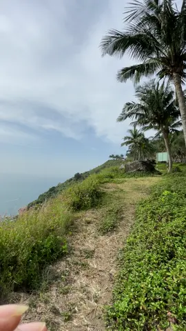 A strange sense of peace. #bandaosontra#danang#viral#xh 