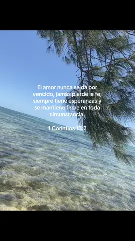 Siempre tendré fe 🥹❤️‍🩹#tik_tok #tren #video #conexion #m #teextraño #amoraprimeravista #amoradistancia #x #versiculosbiblicos #dios #notas #amor 