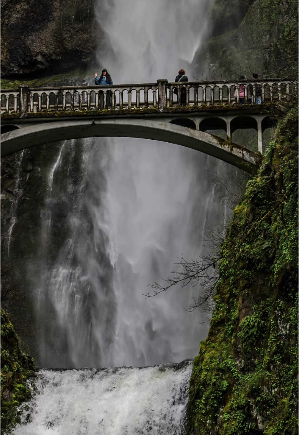 Ехал без плана, просто наугад — и оказался здесь. Этот мост, водопад и звук падающей воды останутся в памяти надолго. Фото и видео от первого лица — как кусочек личного путешествия, которым делюсь с тобой. #waterfallvibes #naturephotography #traveloregon #canonphotography #moodynature #pnwonderland #exploremore #waterfallchasing #bridgeview #naturegram #visualsoflife #wanderlust #quietmoments