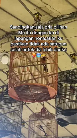 Bahan sw mu bolo #kicaumania #kicaumaniaindonesia #yxzbca #muraibatuindonesia #muraibatu #kicaumaniabali #smm #murai #fyppppppppppppppppppppppp 