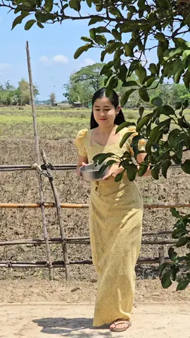 #ချစ်စုလေး #ရေလေးပက်ချင်တာကို..😌#foryoupage #မြင်ပါများပြီးချစ်ကျွမ်းဝင်အောင်လို့☺ #flypシ🤗❤️ 