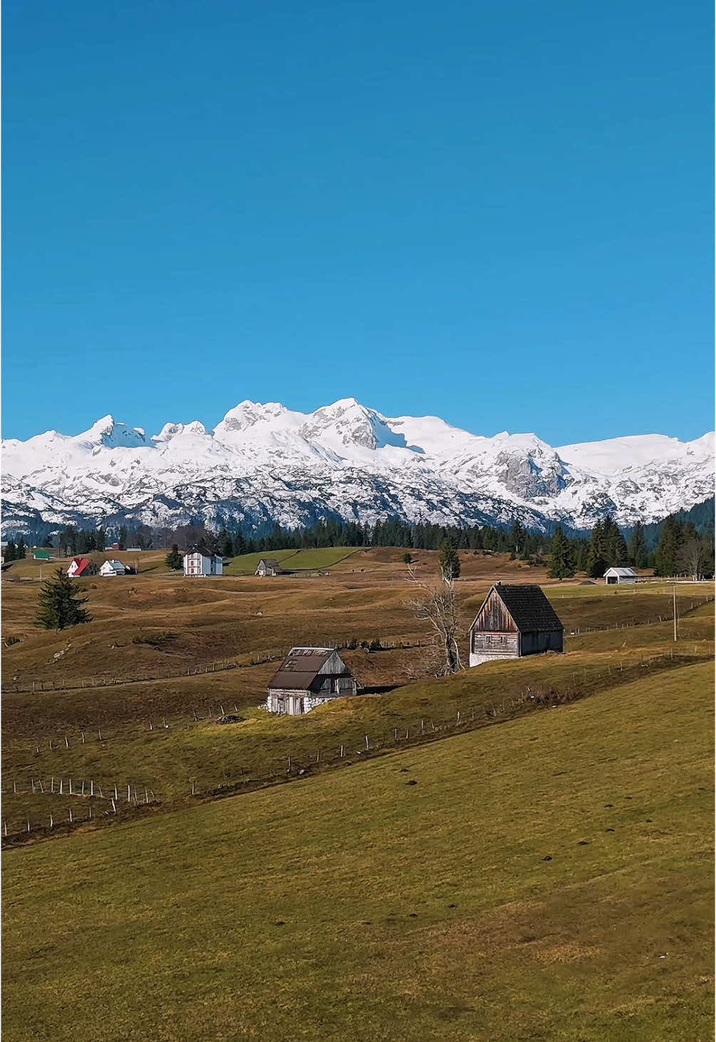 Visoko u planinama, gdje vrijeme stane.Durmitor🏔️🌲✨ #zabljak🇲🇪 #durmitor #Žabljak #durmitornationalpark 