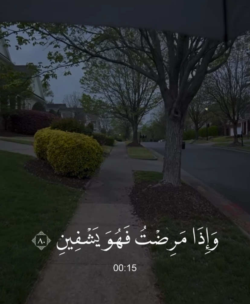 الشعراء - #يوسف_الصقير 