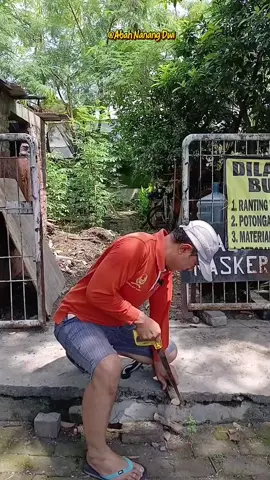 Gergaji Kayu Lipat Murah #gergajikayulipat #gergajilipat #gergajikayu #gergajimurah 