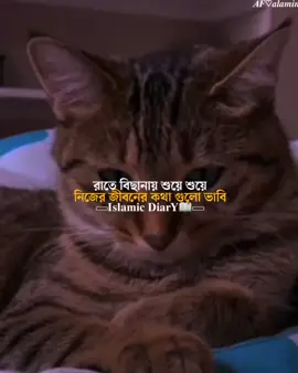 কী জীবন ছিলো আর এখন কী জীবন হয়ে গেলো🙂💔!! #islamic_diary3 #alaminofficial0 #islamic_video #islamic_status #ইসলামিক_ভিডিও #allah #quran #হাদিস #মুসলিম 