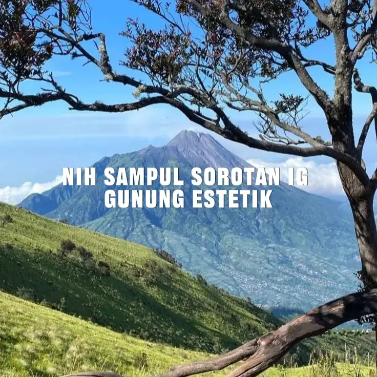 #fyp #4u #xybca #mountain #gunung #lawu #ungaran #andong #prau #sumbing #sindoro 