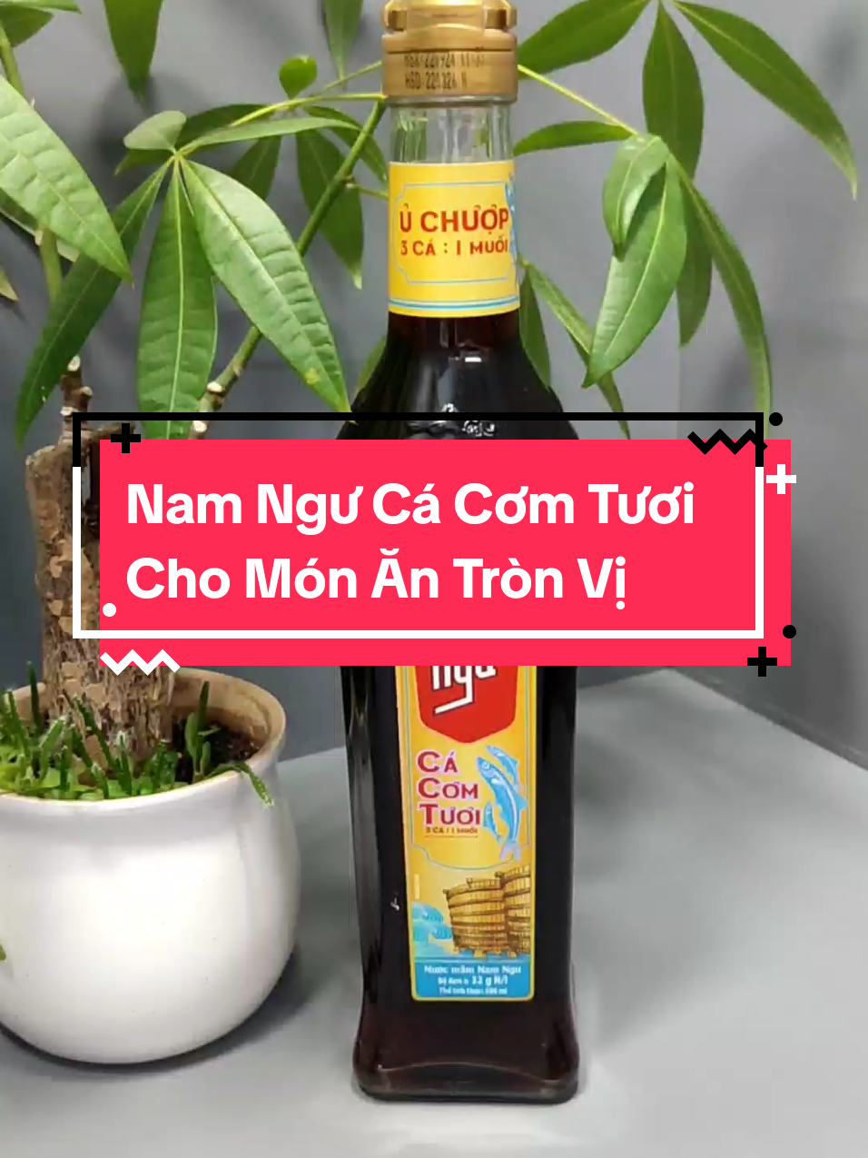 Nam Ngư Cá Cơm Tươi Cho Món Ăn Tròn Vị#nuocmam #namngu #nuocmamchinsu #chauvieukhoedep 