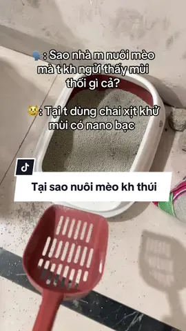 Nuôi mèo nhà kh thối #xitkhumui #xitkhumuichomeo #review #petlux #laspray 