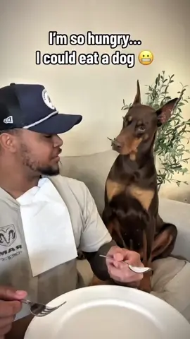 Wait for it 😂😂😂 #doberman #lovedogs #dog #fyp #foryou #funnytiktok #tiktok #dogsoftiktok #PetsOfTikTok 