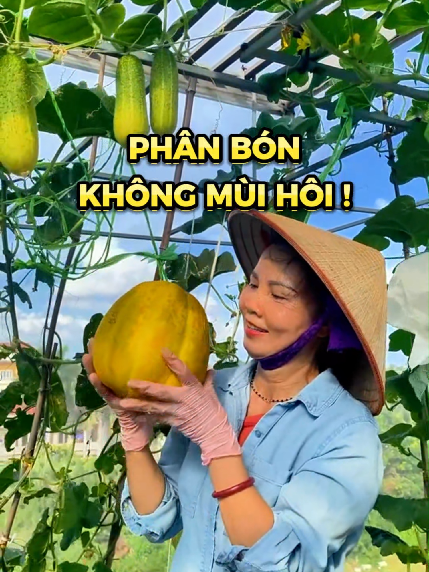 Loại phân KHÔNG MÙI HÔI lại rất giàu dinh dưỡng cho cây trồng - PHÂN TRÙN QUẾ SFARM #nongnghieppho #nongnghiep #lamvuon #trongrausanthuong #trongrau #phanhuuco #phantrunque #phanbon #cayantrai