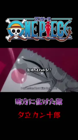誰もが度肝を抜く最悪の裏切り#ワンピース #ワンピース感動シーン #ワンピース名シーン #ワンピース面白いシーン#onepiese 