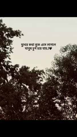 মুখের কথা বুকে এসে লাগলে  মানুষ চুপ হয়ে যায়.!🖤 #foryou #foryoupage #unfrezzmyaccount #bdtiktokofficial🇧🇩 #fyppppppppppppppppppppppp #fyppppppppppppppppppppppp 