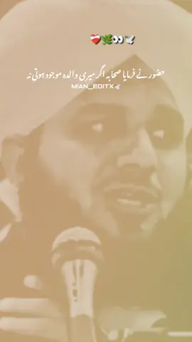 𝐌𝐚𝐚 𝐤𝐢 𝐬𝐡𝐚𝐧 𝐛𝐲 𝐇𝐮𝐳𝐨𝐨𝐫 (𝐒.𝐀)❤️‍🩹🌿👀 #ajmalrazaqadri #status #foru #goviral #islamic_video #muhammadajmalrazaqadri #whatsappstatus #unfreezemyacount #newaccountplzsupport #mian_editx77 