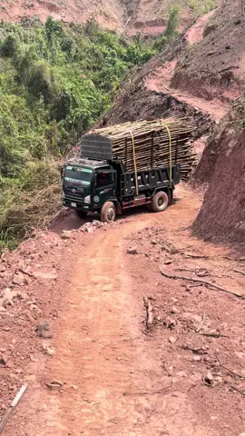 Mùa nắng cũng là mùa hết việc.nghỉ hè thôi các bác😀#trendingtiktok #faw7t7caudau❤️ #xuhướng 