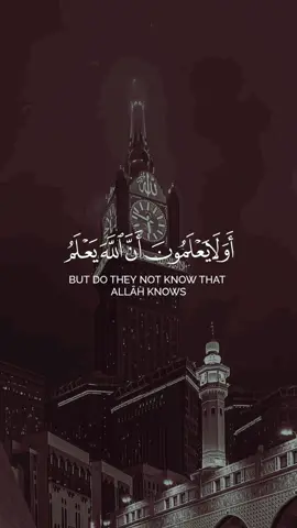 اولاا يعلمون ان الله يعلم …✨ #القرآن #القران_الكريم #محمد_اللحيدان #قرآن #الله #اللهم_صل_على_نبينا_محمد #الهداية #الاسلام 