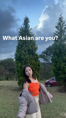 Proud to be Arunachali ♡🇮🇳 Tagin #northeastindia #arunachalpradesh #assam #meghalaya #manipur #mizoram#nagaland #tripura #sikkim #fyp #fypシ  @Nabatesha☘ ♡♡ North East India 🇮🇳 