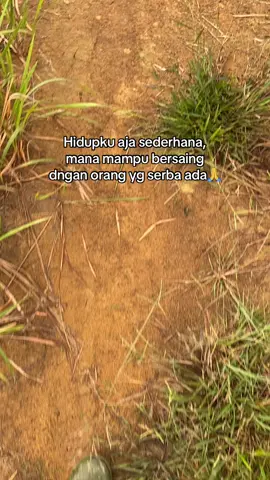 Ga minat di jadikan pilihan jadi sorry pilih aja yg lain🤫😁  #fy #fypage #petanimuda #kuli #sawittiktok🌴🌴🌴 #spekkuli 