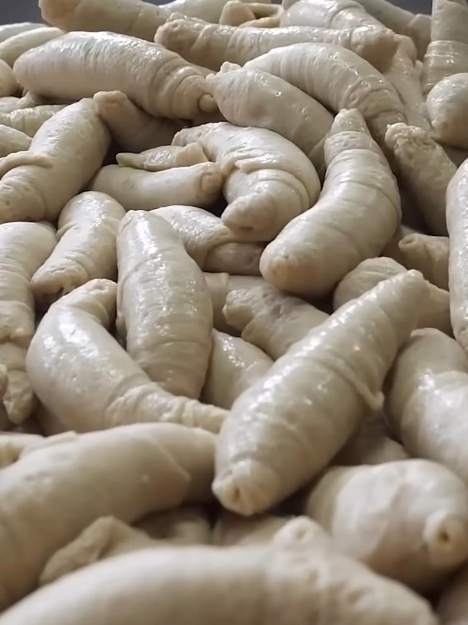 #alimento #conocimiento #descubrir
