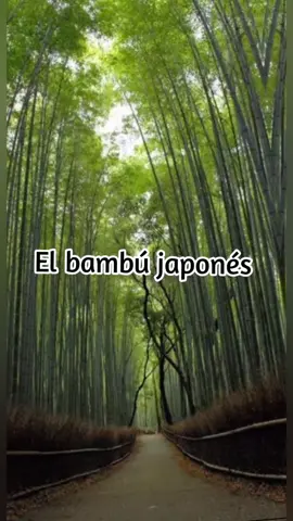 #frasesdevida#reflexionespositvas# #frasespositivas#ánimo#motivación# #poesías#sabiduría#amorpropio# #mensajesdevida#pensamientos#