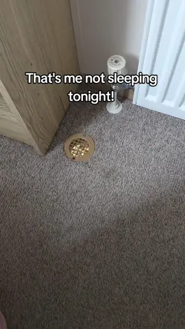 That's me not sleeping tonight! #foryourpage #fyp #viral #viralvideos #parkdean #holiday #caravanholiday 