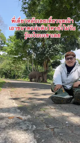 #เพจปาปูวคนชอบเขา #ช่องยูทูปปาปูวคนชอบเขา #พี่เดี่ยวหลับ #ช้างป่าเขาใหญ่ #อุทยานแห่งชาติเขาใหญ่ 