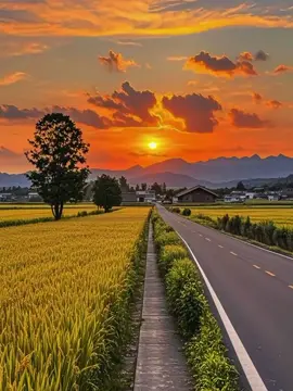 kalem we nya ketua😅@Iksan LASUN #CapCut #templatecapcut #katakatasunda #storysunda #iraw194 