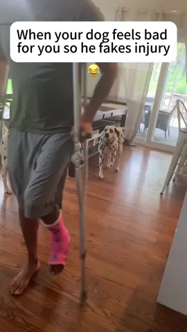 Dogs imitated human actions #doggielife #doglover #dog #pets #pets #funny #funnyvideo #animallover 