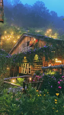 Một buổi chiều mộng mơ trong màn sương trắng.. #dalat #reviewdalat #nhabenrung #cafenhabenrung #nhabenrungcoffee #caphenhabenrung #nhabenrungcaphe #QuánCafeViewĐẹp #binhyen #chill #caphedalat #homebenrung #homestaydalat #hoanghon 