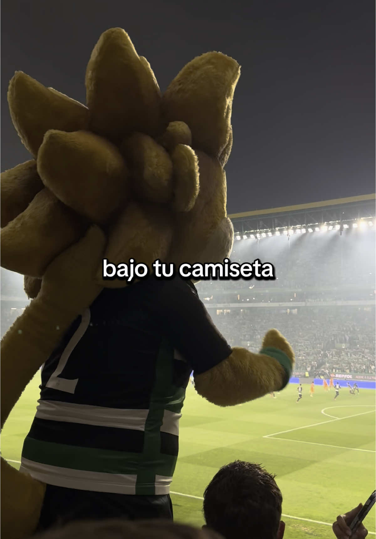 Yo te amaré 💚 #sportingcp #alvalade #sporting #campeoesnacionais #verdeebrancodecoração💚🤍 
