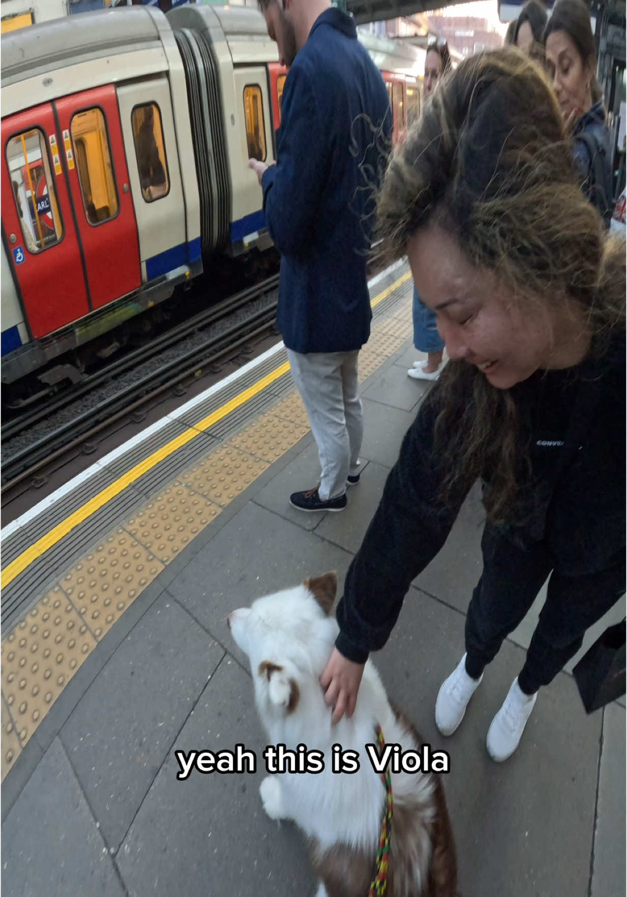 Interactions with my dog!!  #husky #viral #pets #fyp #trains #subway #violasnow #doglover 