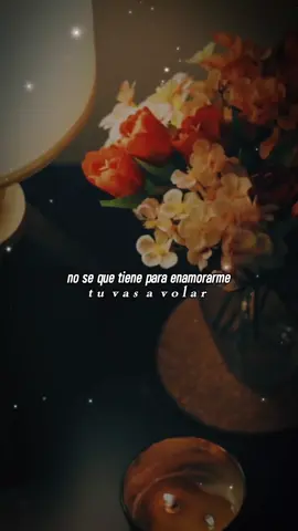 Rubby Pérez: Tú vas a volar #cancionesparadedicar #merengue #tuvasavolar #rubbyperez #buenamusica #rolitas #paratiiii #letrasdecanciones #cancionesparahistorias 