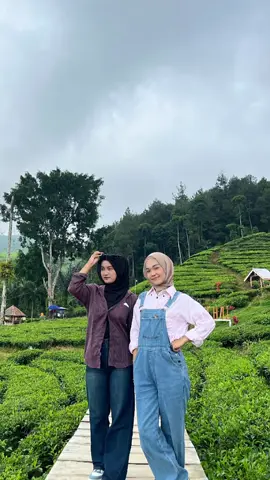 with ante lala