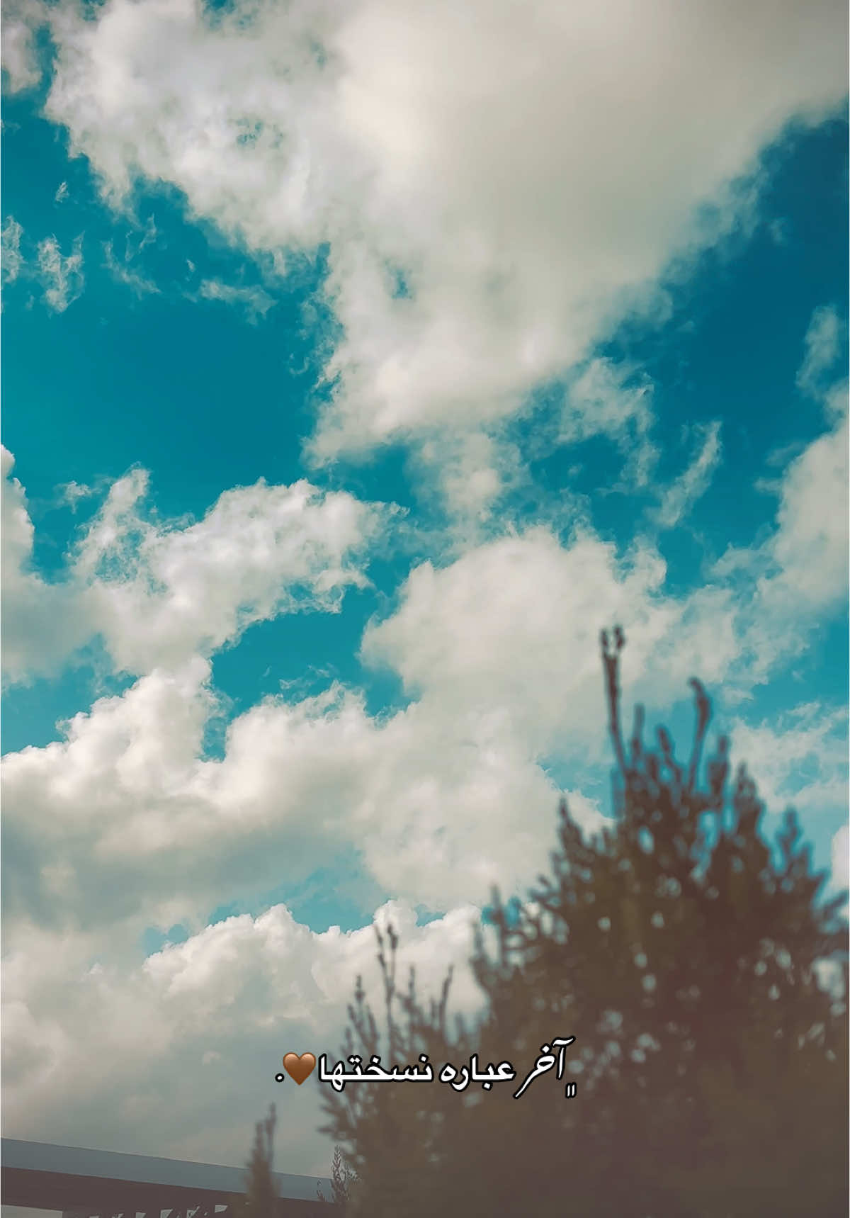 اخر عبارة نسختها🤎🎶#تصويري #شاشة_سوداء🖤 #تصوير #طبيعه #ياس_خضر #اغاني #ستوريات #تصويري_احترافي_الاجواء👌🏻🕊😴 #تصويري_احترافي #شاشة_سوداء #موصل #ام_الربيعين #غيوم #نينوى 