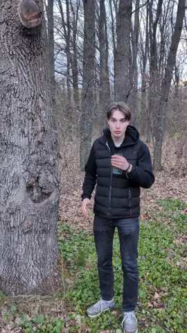 Топ чи все таки топ 5? 🤨 #спілкування #знайомства #україна🇺🇦 #рейні #рейнібот #rainey 