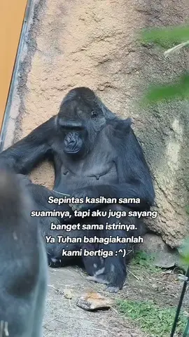 #capcut aamin🤲🏻#story #lagu #muarahati #dangdutkoplo #ojingjepara #dinannesia #orkesjepara #orkespati #sindiran #bojonewong @Dari Kontak Anda #fypageシ #fyp 