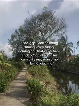 Cảm giác rất chân thật 