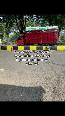 sepele😀 #trukmaniaindonesia #fyp #fypシ゚ #trending #drivermuda 