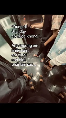 #xuhuongtiktok #xhtiktok #fyp #shinboy_ 