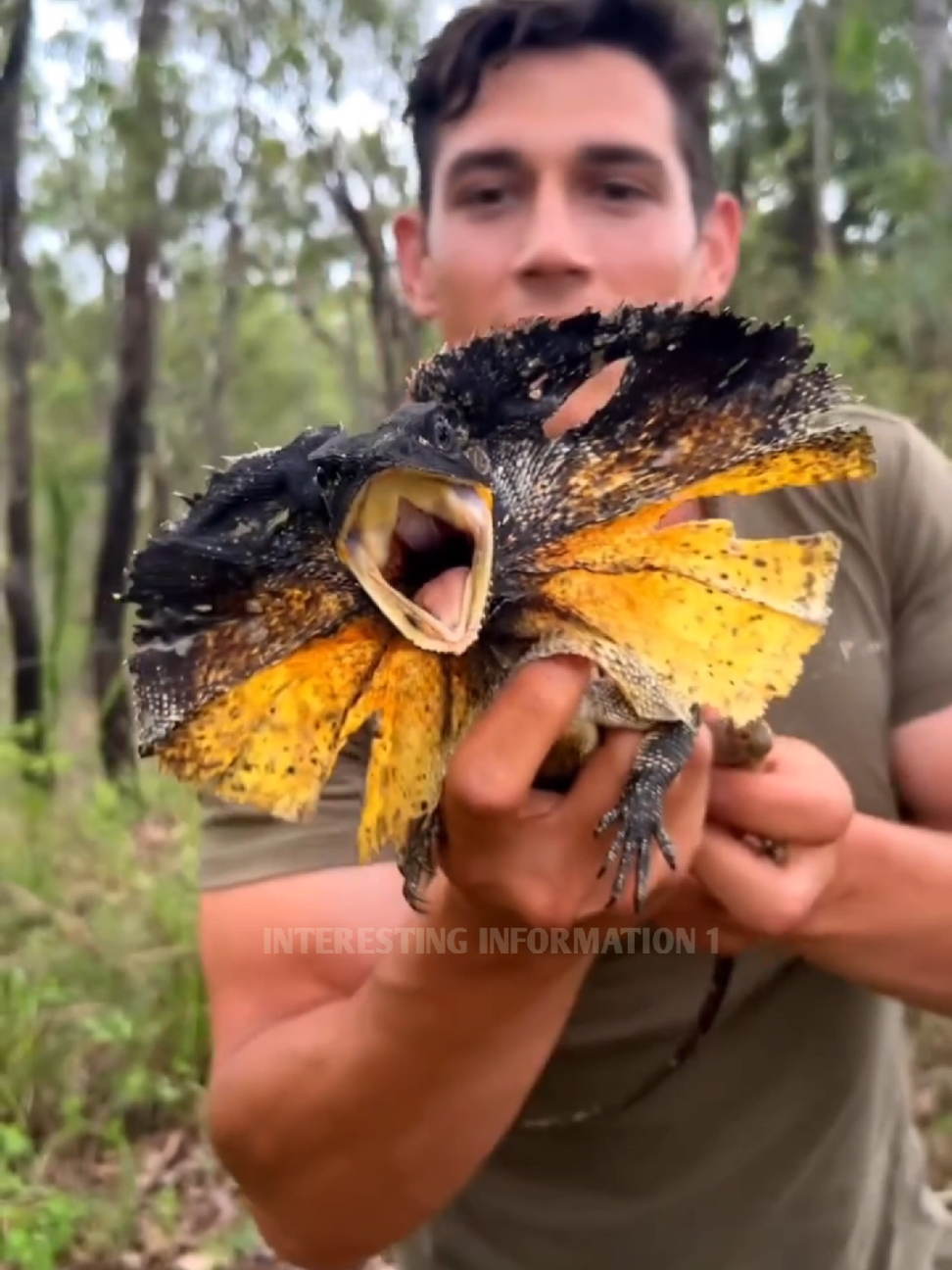 How People Catch This Lizard? #fyp #LearnOnTikTok #viral #video #foryou #new #amazing #fact #facocean #factflare #interesting #informatio #viralvideo #foryoupage 