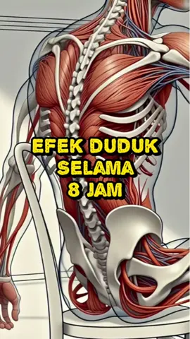 Duduk 8 Jam Tanpa Henti? Ini yang Terjadi Pada Tubuhmu! Organ-organ kita sebenarnya tidak dirancang untuk diam terlalu lama. Tulang belakang bisa melengkung, aliran darah melambat, dan jantung mulai kehilangan ritmenya. Risikonya? Nyeri kronis, pembekuan darah, hingga penyakit jantung. Cukup berdiri setiap 30 menit dan lakukan peregangan ringan—itu bisa menyelamatkan tubuhmu dari kerusakan jangka panjang. #KesehatanTubuh #CerminRaga #GayaHidupSehat #Peregangan #KerjaSehat #PosturTubuh #JantungSehat #DudukTerlaluLama
